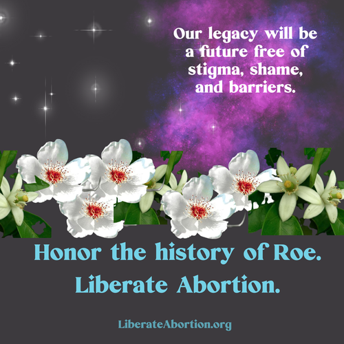 Our Legacy Will Be A Future Free Of Stigma Shame And Barriers. Honor The History Of Roe v Wade. Liberate Abortion. LiberateAbortion.com