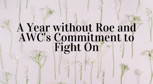 A Year Without Roe v Wade And A Woman's Choice's Commitment To Fight On